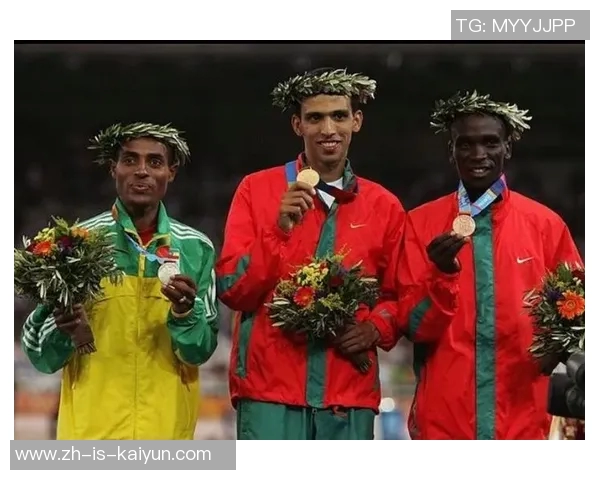 《追逐绿茵梦想 足球黑人球星的奋斗与荣耀之路》